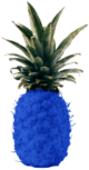pineapple.blue Webdesign & Seo